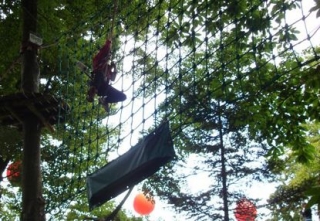 Bonobo Parc 
